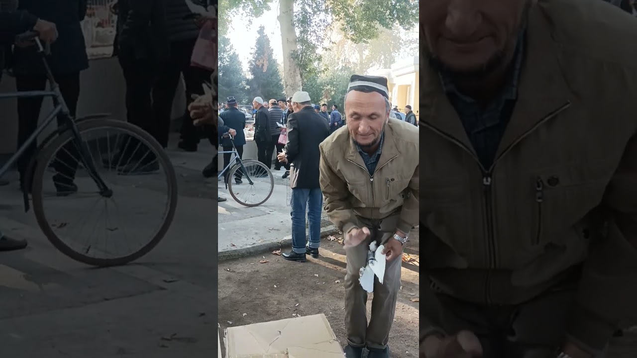 25 октября 2023 г.