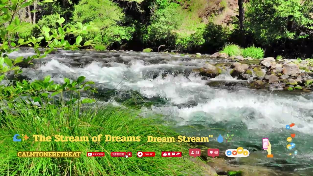 The Relaxing Stream of Dreams