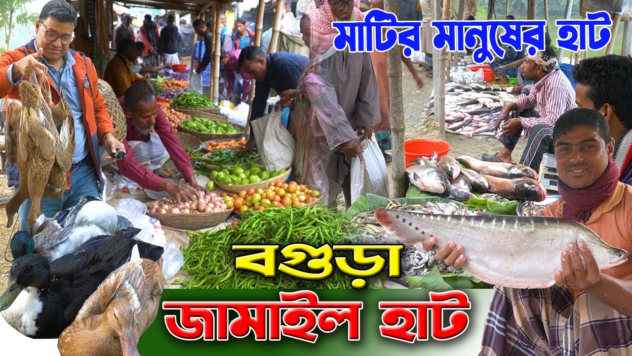 Amazing Hat Bazar Jamail Bogora | The people of the village bazaar |  জামাইল হাট, বগুড়া