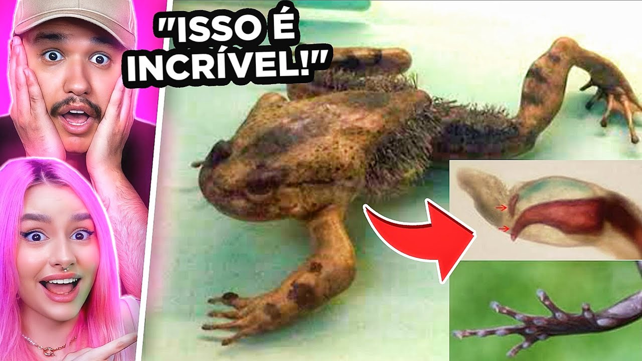 FICAMOS IMPRESSIONADOS com os Animais Raros Com Superpoderes Reais!