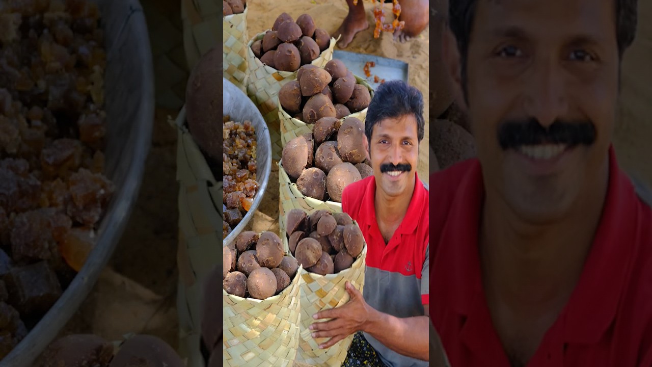 Palm Jaggery Making