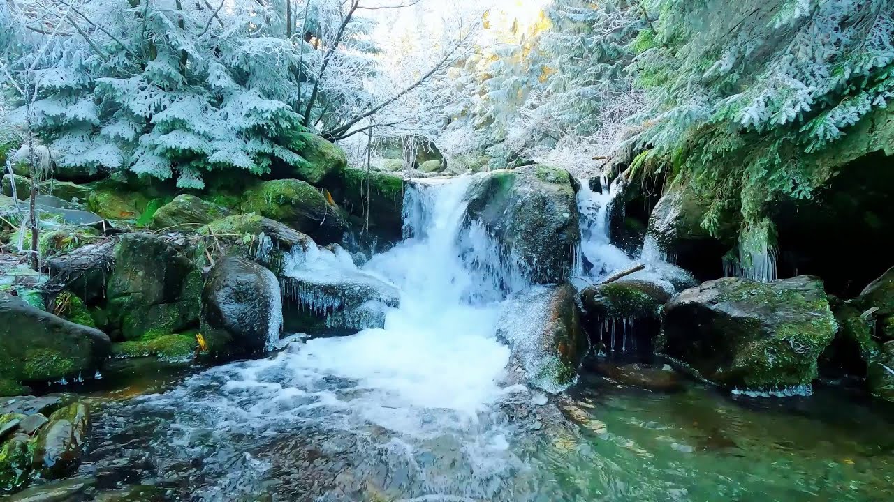Rushing Brook in Snowy Forest White Noise | Nature Sounds