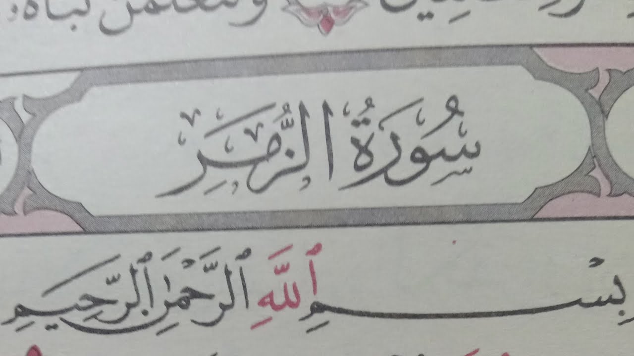 تلاوة قصيرة ما تيسر من سورة الزمر...