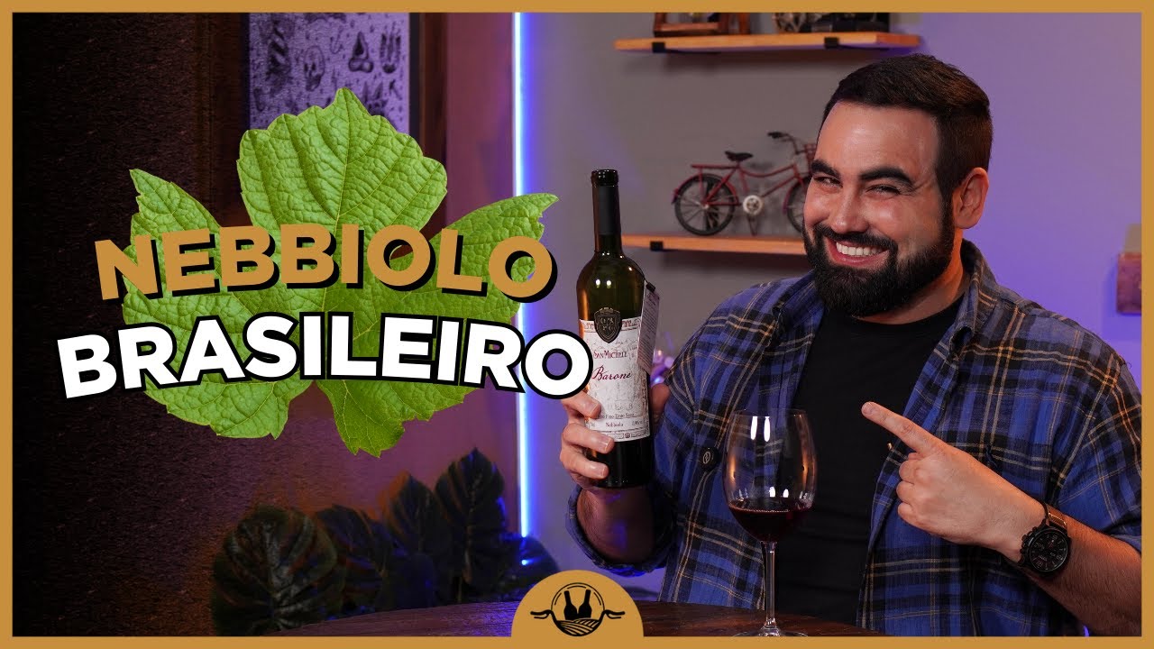 UM DOS VINHOS MAIS PREMIADOS DO BRASIL