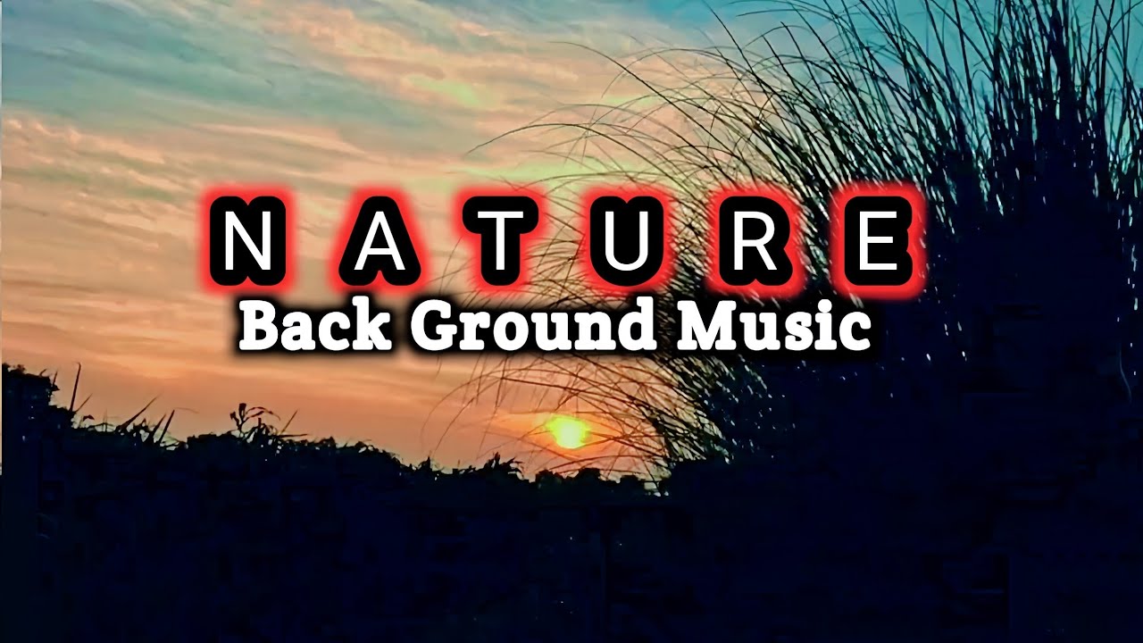Nature Back Ground Music 🎵