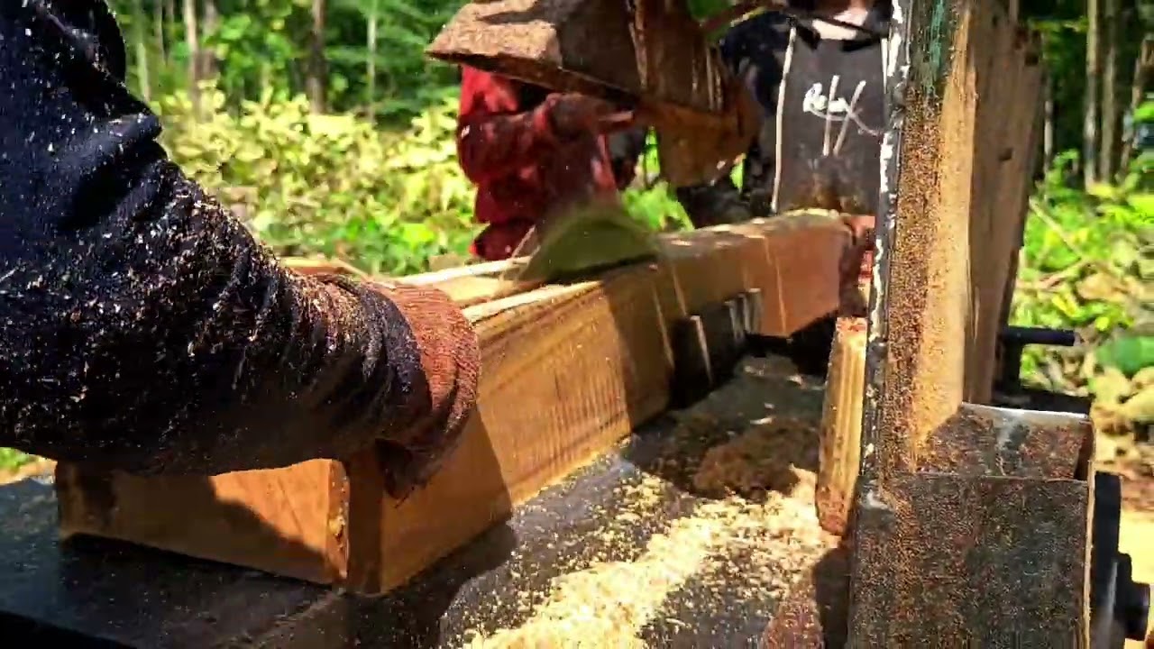 Alot merajang kayu sengon