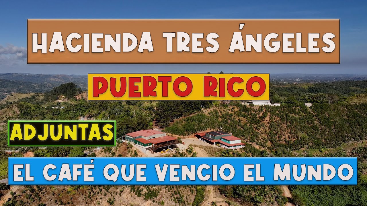 🚫“El Café  que Venció el Mundo”, Hacienda Tres Ángeles