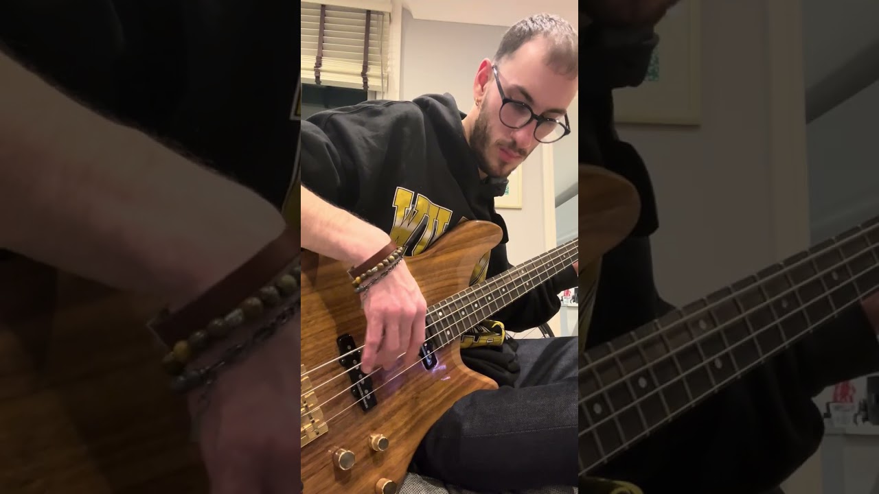 I got that feeling James Brown bass cover