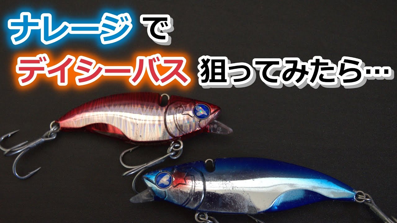 ナレージ(Narage)でデイシーバス狙ってみたら…【2025年5月3日】