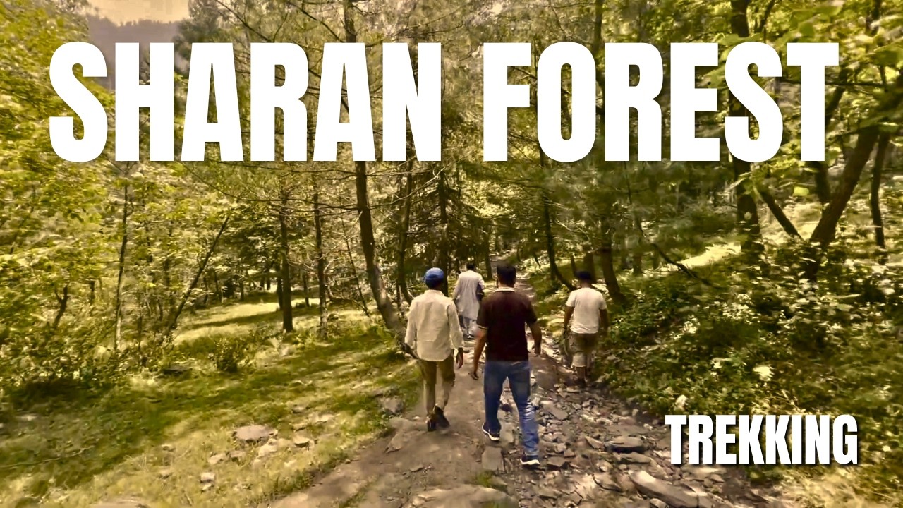 Trekking To Sharan Forest Waterfall | Food Packed in Containers
