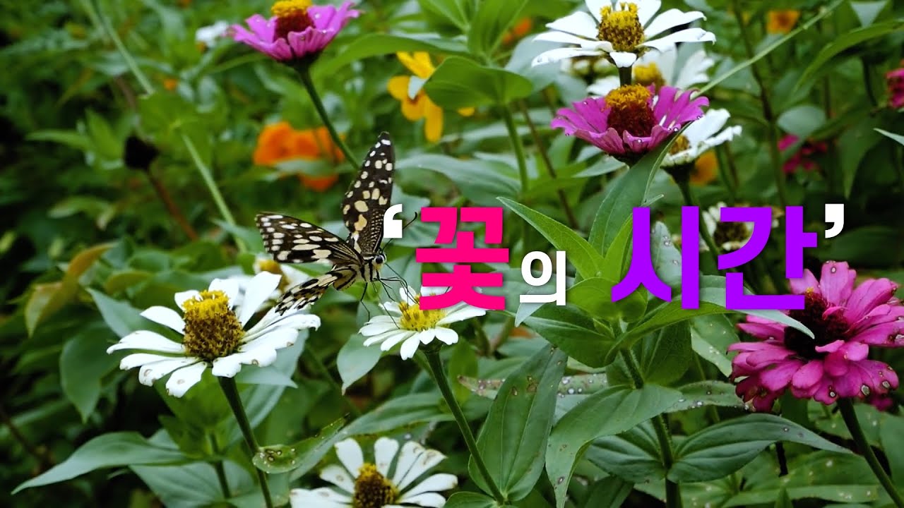 꽃의시간 (사)한국프레스플라워 특별전, 압화(누름꽃, Press Flower)를 이용한 각종 오브제 전