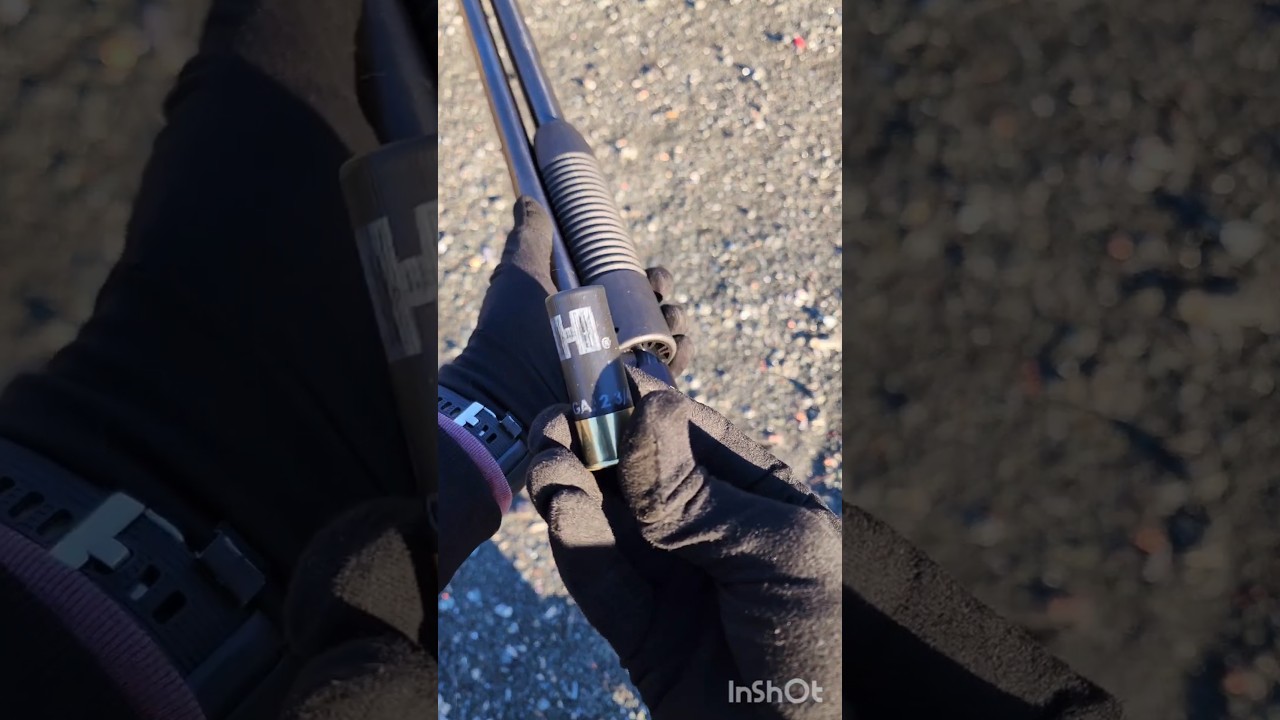 HORNADY 00 BUCKSHOT FOR BEAR DEFENSE? #weapons #edc #shortvideo #youtube #hunt #bear #shorts #hiking