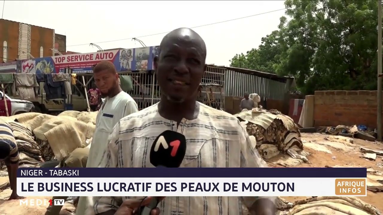Tabaski au Niger : Le business lucratif des peaux de mouton