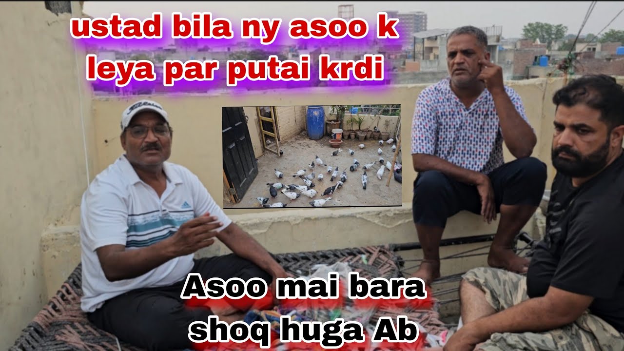 Ustad bila ny asooj k leya par putai krdi💪shoq tagra hoga asoo mai 40 kabutar ki putai