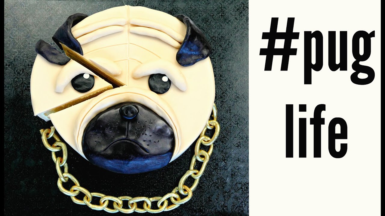 #Puglife
