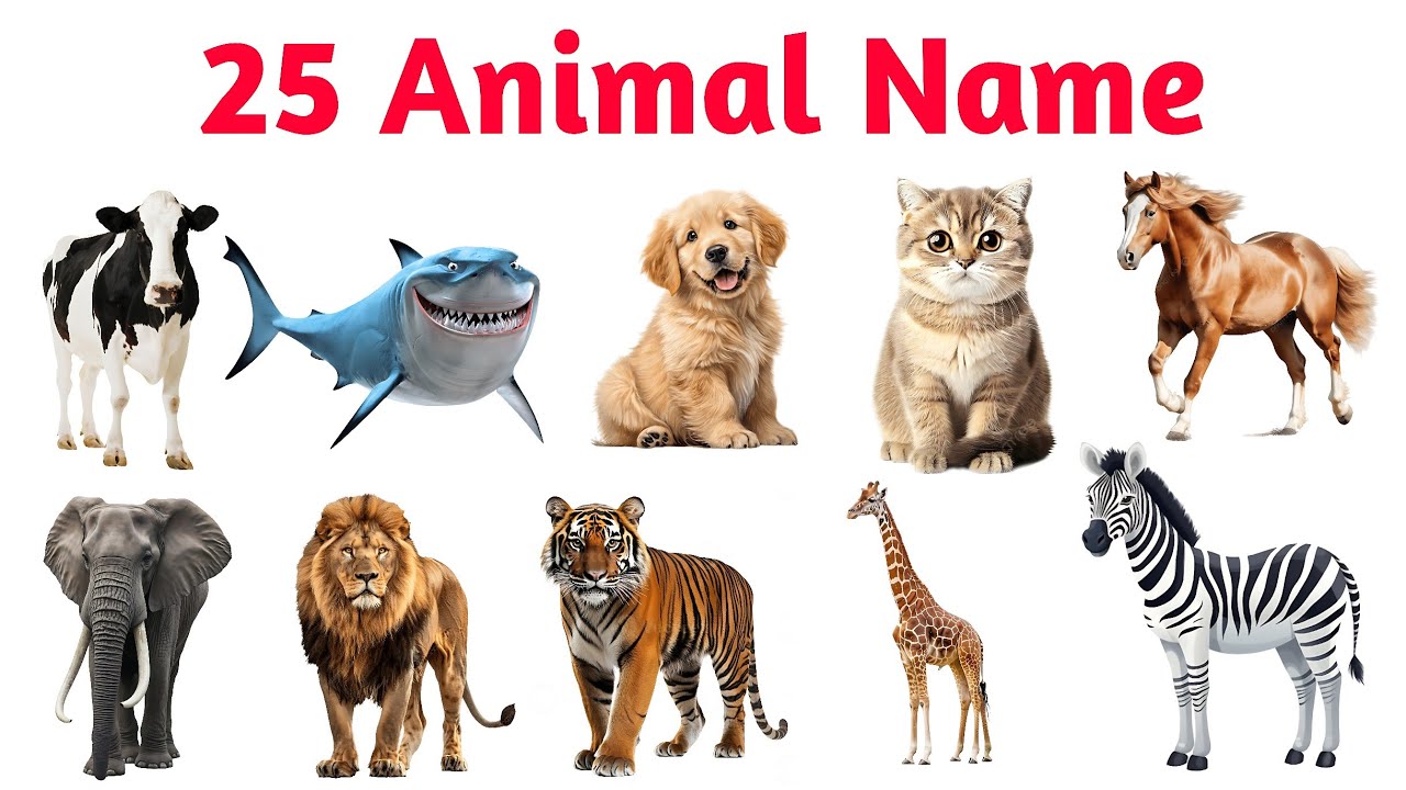 25 Animals Name English & Hindi |के लिए जानवरों के नाम | Kids Educational Video 25 Animals