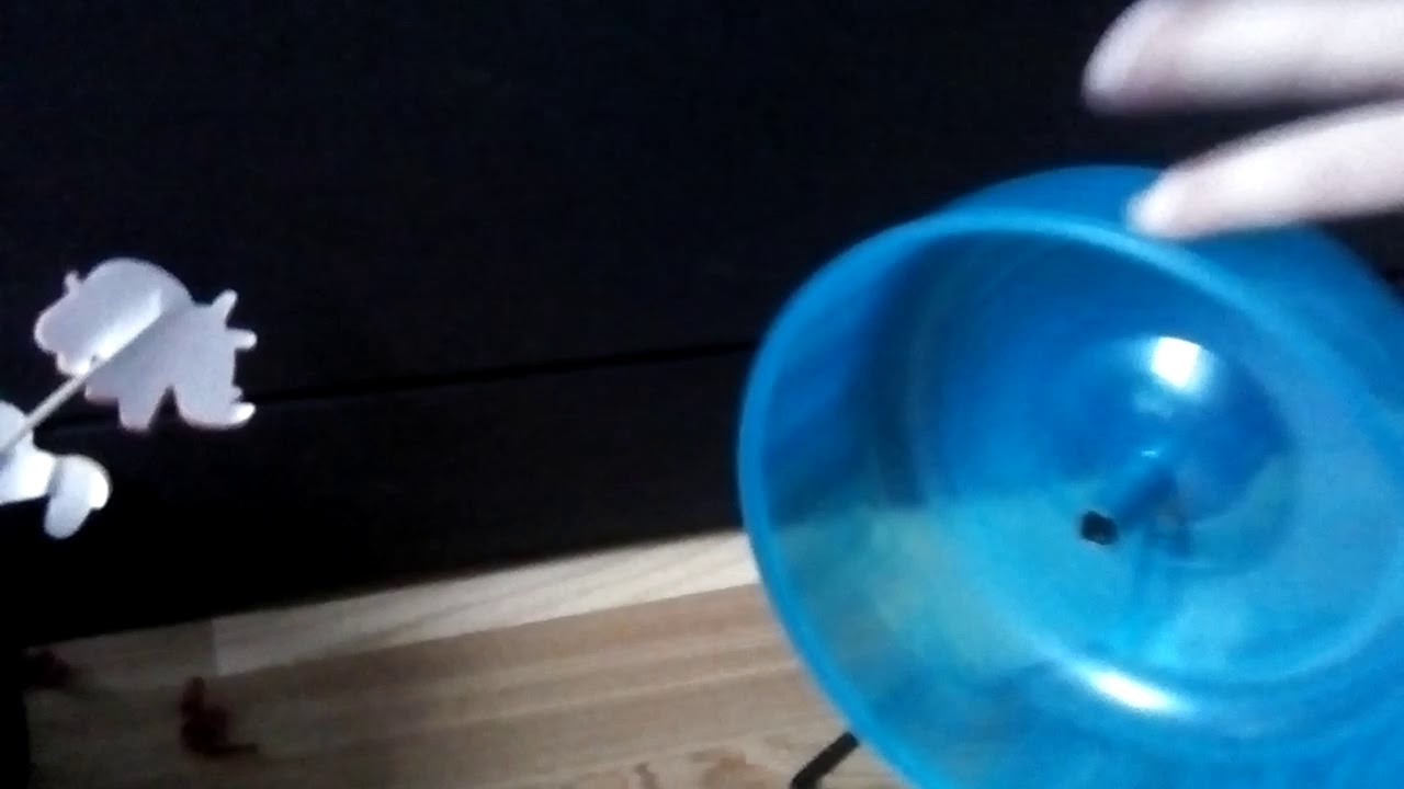 S&aring;dan kan du lave et hyggeligt hamsterbur