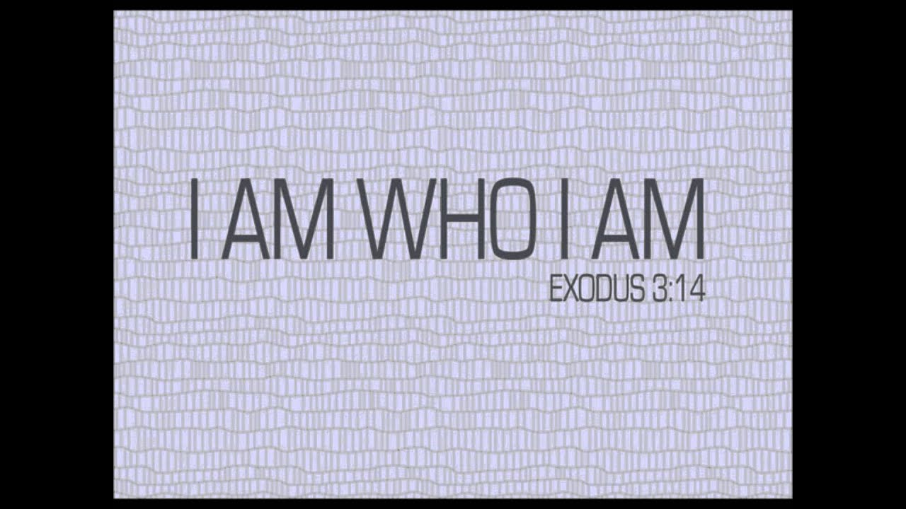 The life study of Exodus_Israel's Exodus from Egypt- by brother Witness Lee