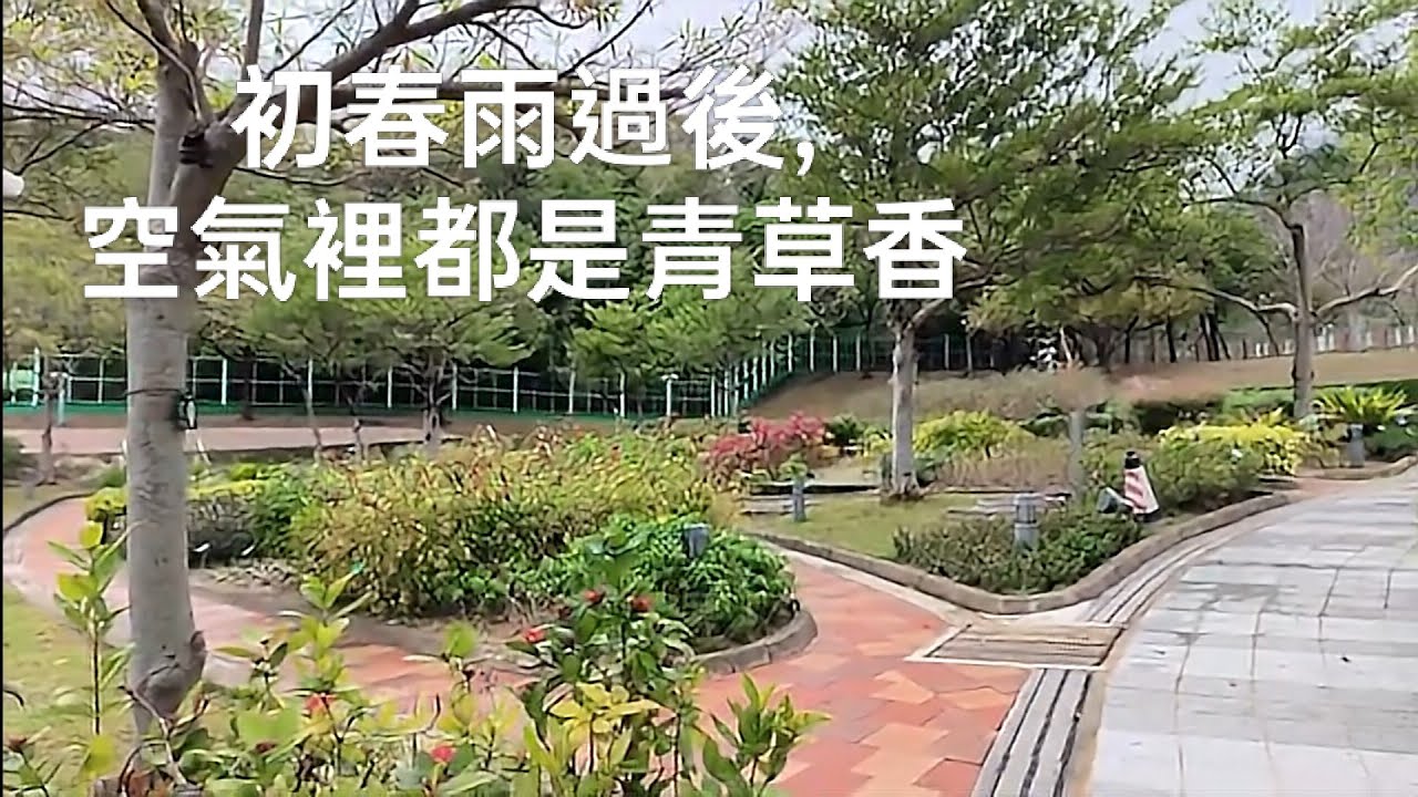 春天第一場雨水過後，萬物像剛從沉睡中醒來，綠意淺淺，空氣裡都是清新濕潤的氣息