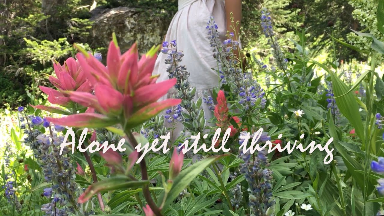 How I Meet the Silence with Love and Acceptance