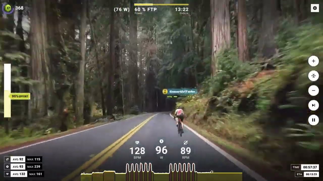 Virtual Cycling Through Avenue of the Giants | HIIT Workout in California's Autumn Forest (Speed up)