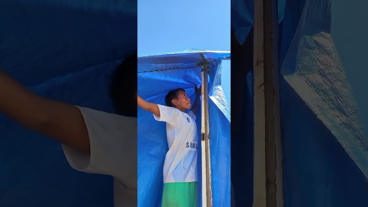 montagem e espetáculos do circo estrela
