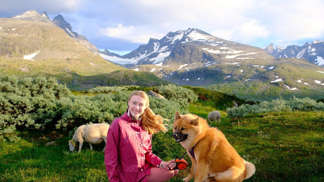 Camping in the Norwegian Mountains part 3 | road trip, waterfalls, & highlands