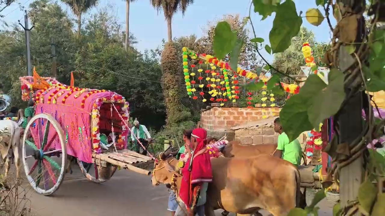 Sirulimavir too badapokhoria jatra 