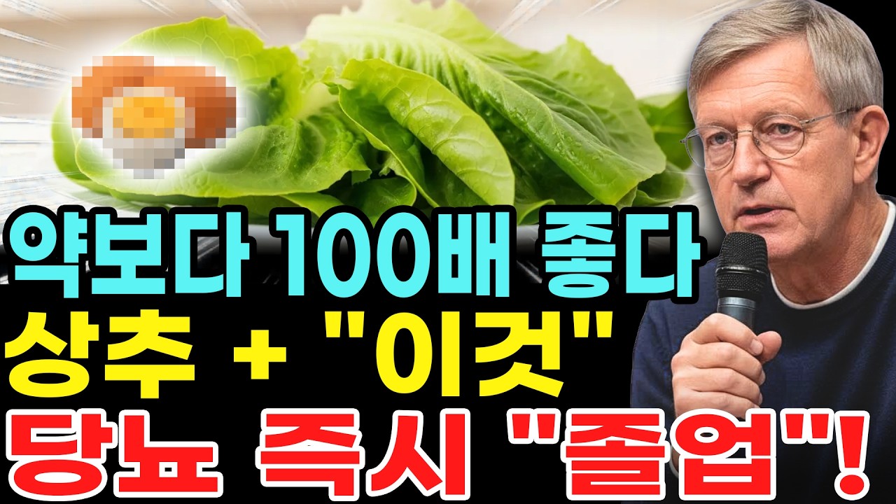 상추를 