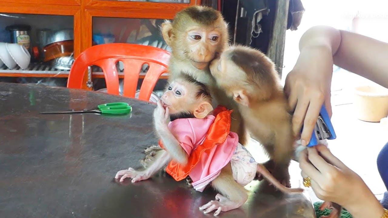 Moly Kiss His Lovely Donal While Mom Change New Diaper For Him, Zuji Family Good Health