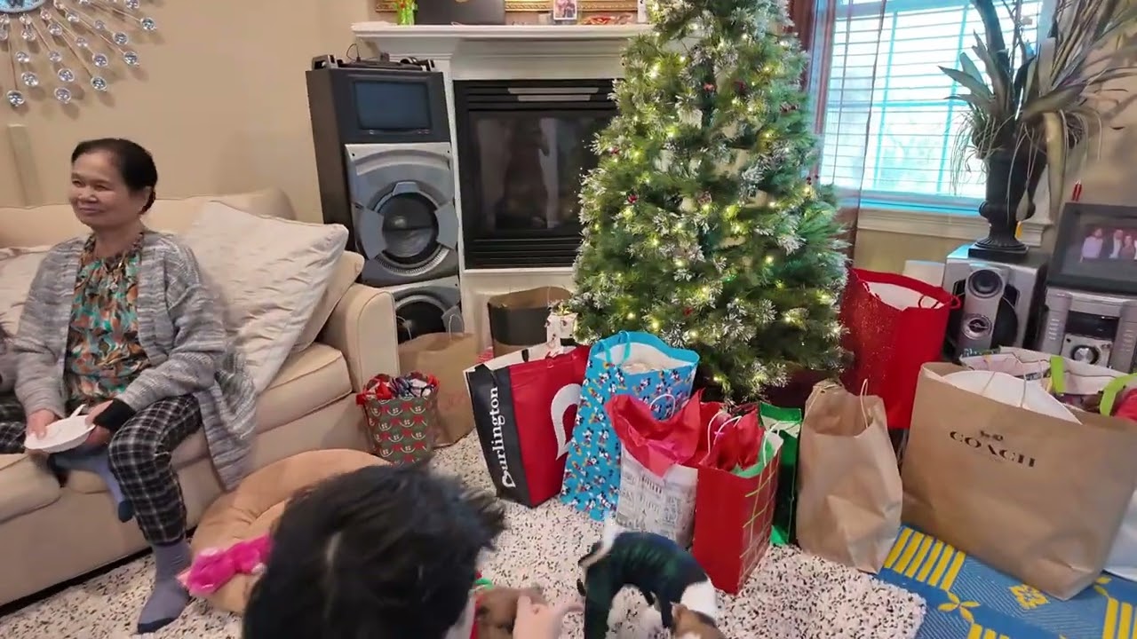 Merry Christmas from the family!