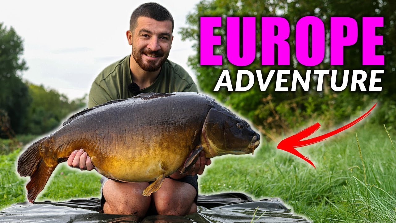 CATCHING BIG FRENCH CANAL CARP with Henry Lennon