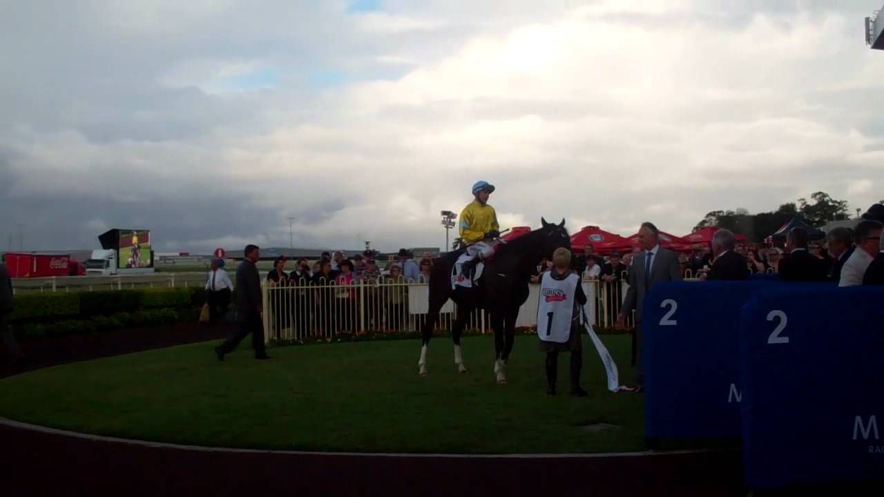 Scenic Shot wins his second Doomben Cup