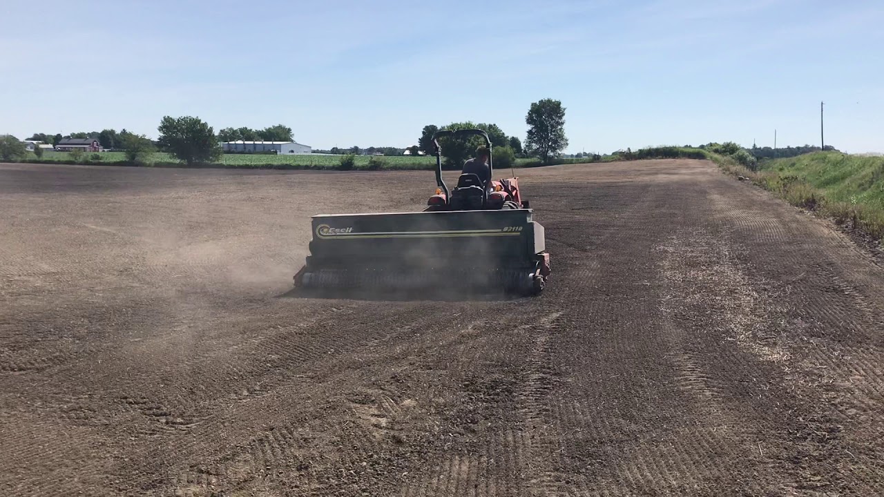 Seeding Teff Grass