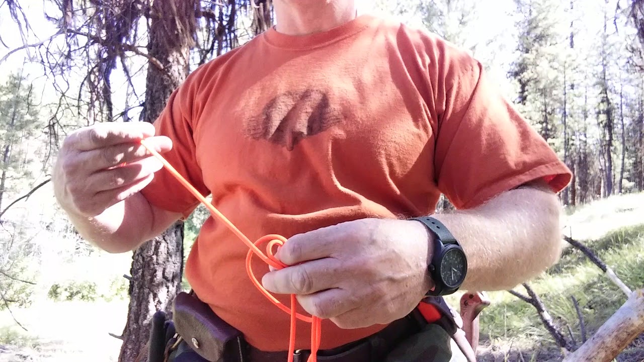 The Deer Snare