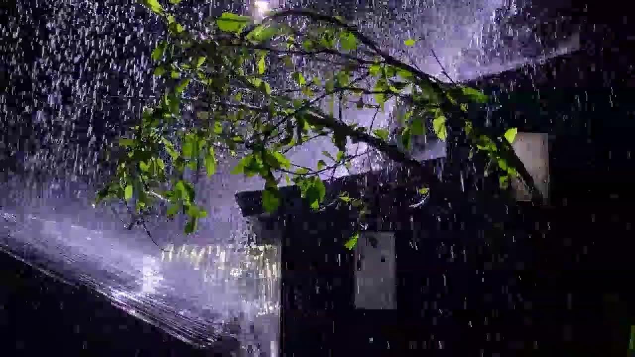 Relaxing Night Rain Sounds 🌙 Tin Roof Ambience