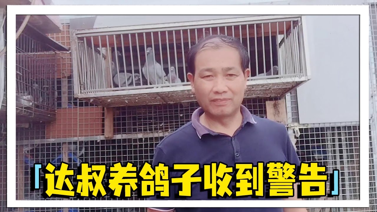 如果不整改到位就放飞你的种鸽，是谁对农村大叔发出这样的警告？我们一起来看看在怎么回事？【农村达叔】