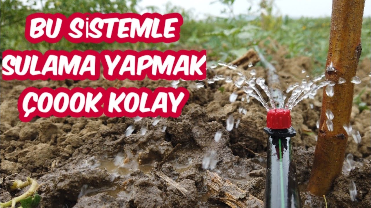 Damla Sulama Sistemi Kurulumu, Basit ve Detaylı Anlatım