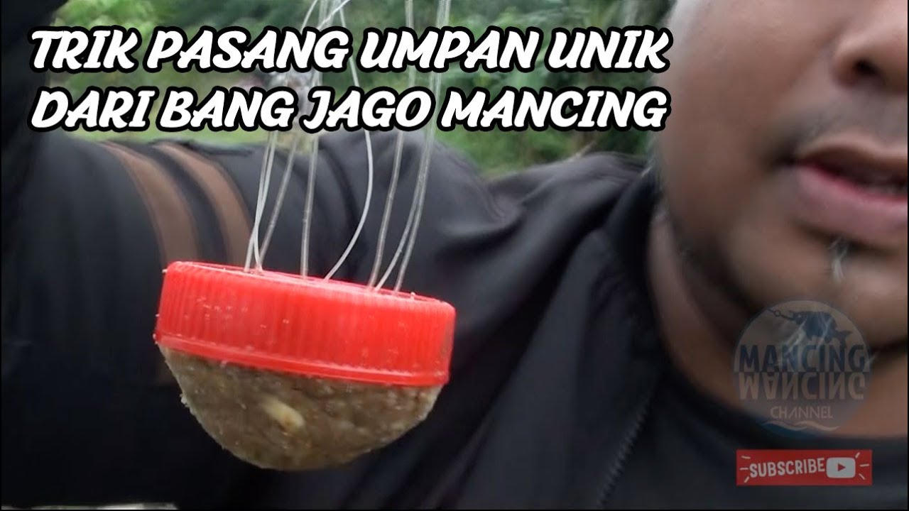 CARA JITU PASANG UMPAN IKAN   | CARA MANCING IKAN UNTUK PEMULA DAN MANCING MANIA