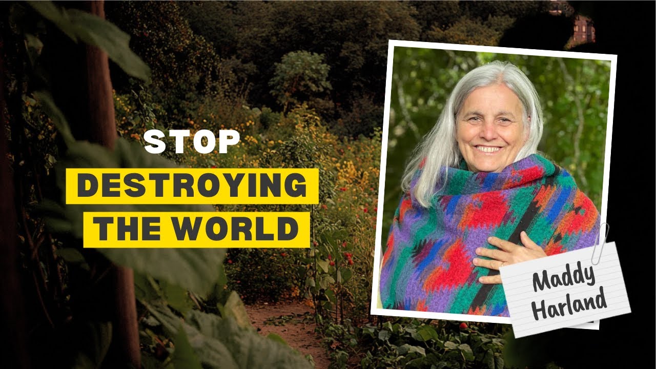 Food Forest Podcast: Maddy Harland – Lessons from 30 Years of Permaculture Magazine