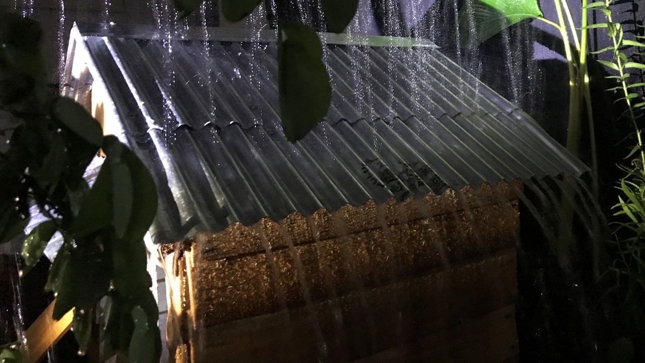 🔴Rain Sounds For Sleeping - 99% Instantly Fall Asleep With Rain And Thunder Sound At Night