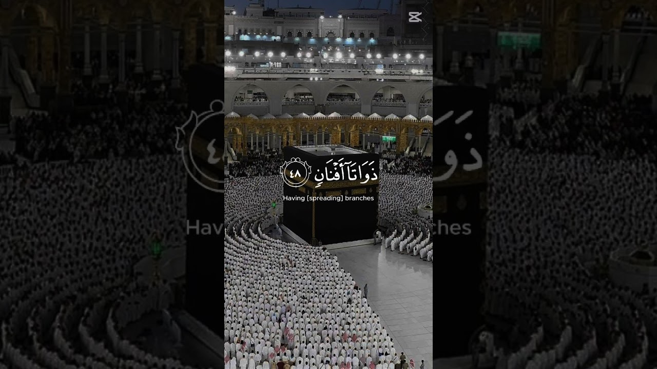 Quran tilawat #khanakaba #mashallah_ماشاءالله #foryou #foryoupage 