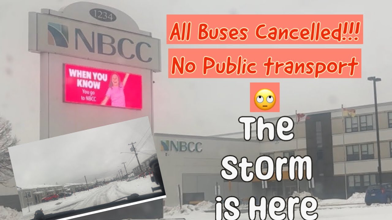 Buses got canceled | Gedi in first snow storm of Moncton New Brunswick Canada