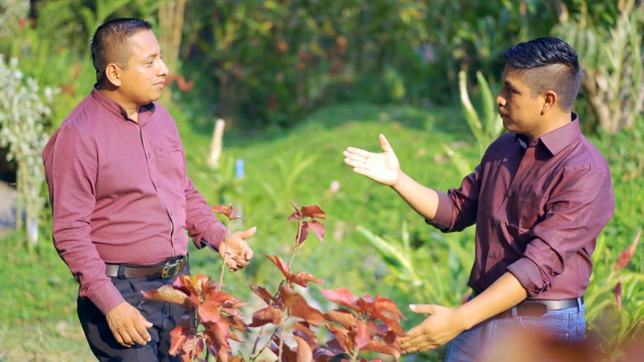 FLORES DEL CAMPO -Marimba Mega Tropical 