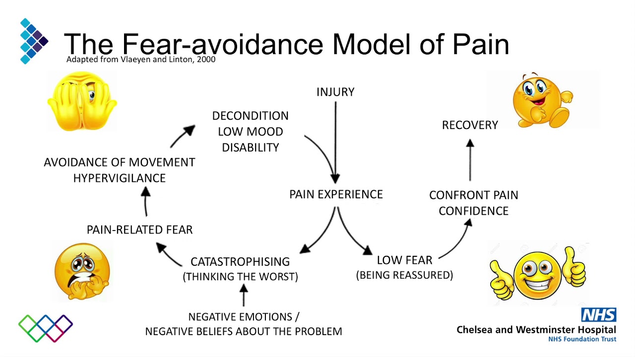Fear-Avoidance and Graded Activity