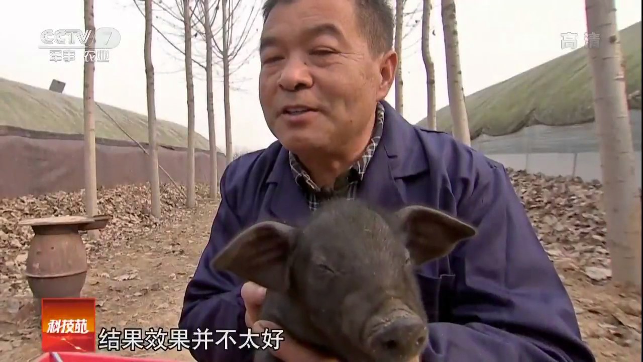 20170118 科技苑  养土猪的新创意