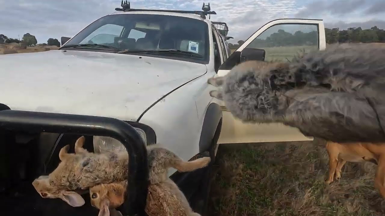 В его собственном сознании