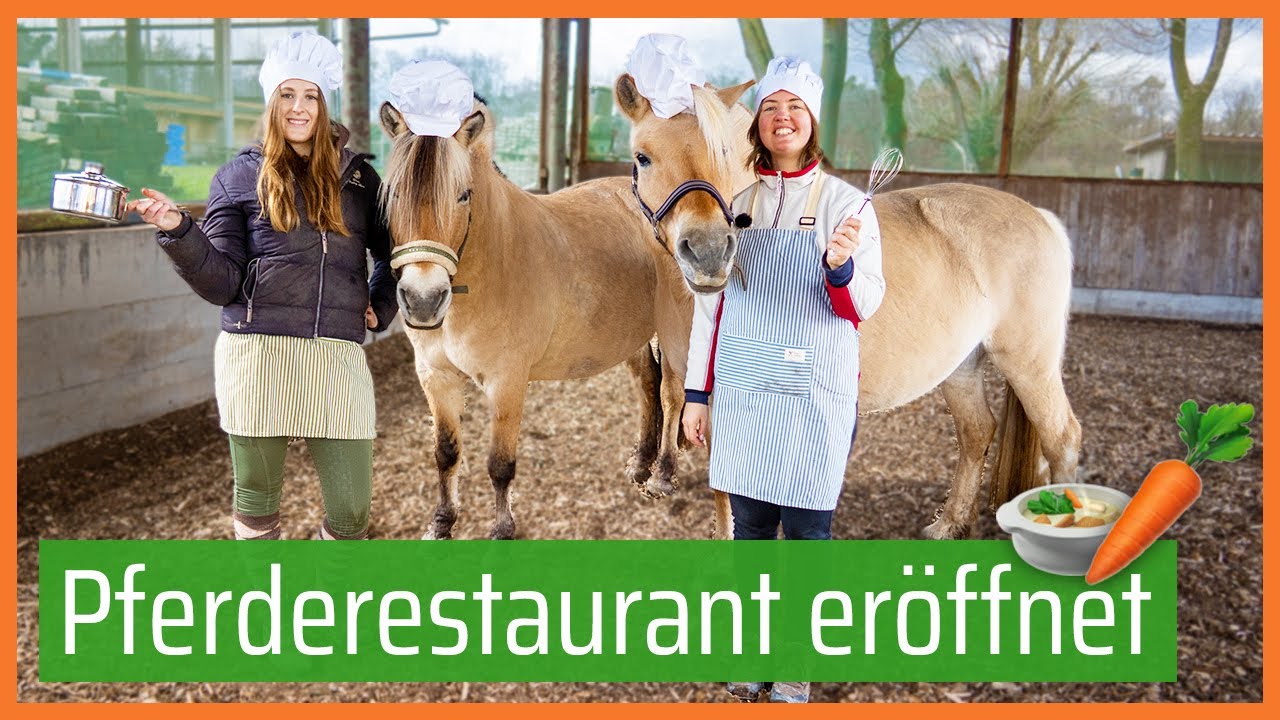 👩🏼‍🍳 Wir kochen zu viert am Stall 😋 // Blondis auf Fjordis