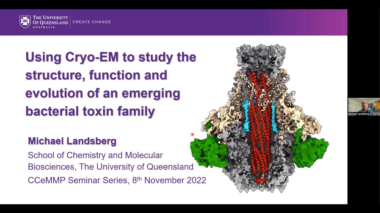 Using cryo-EM to study the structure, function and evolution of an emerging bacterial toxin family