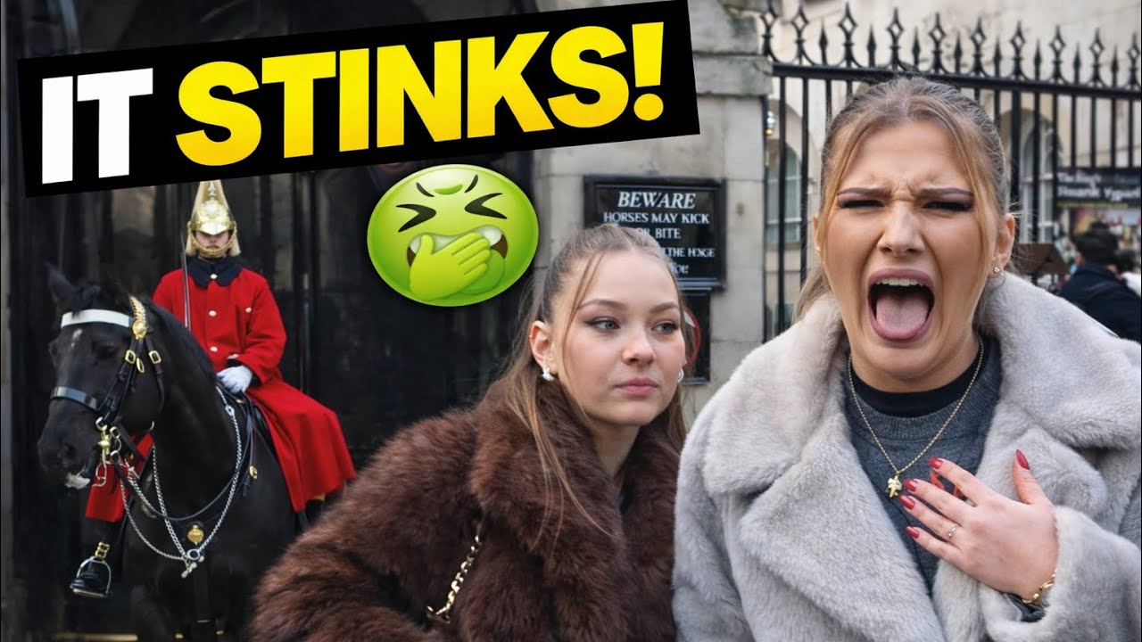 RUDE TOURIST⁉️ Awkward Reaction at Horse Guards London